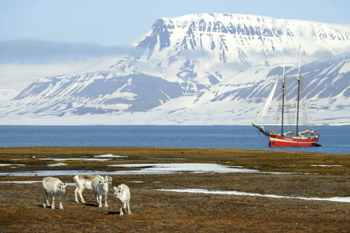 Arktischer Herbst zeigt das Traditionsschiff Noorderlicht