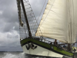 Segelwochenende Ijsselmeer zeigt das Segelschiff Wilhelmina